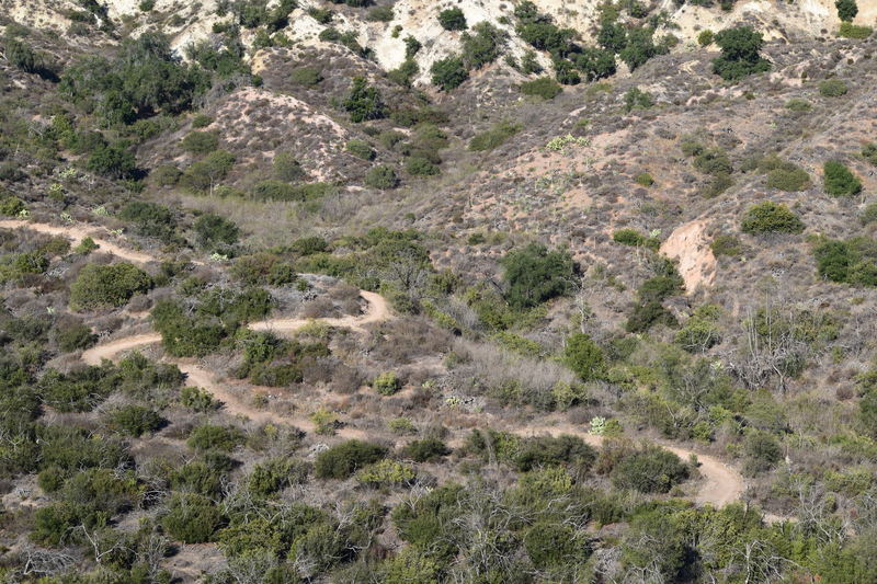 A picture of Cactus Hill Trail from a higher elevation.