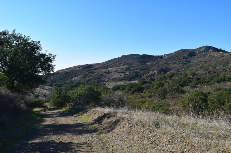 Whiting Ranch.