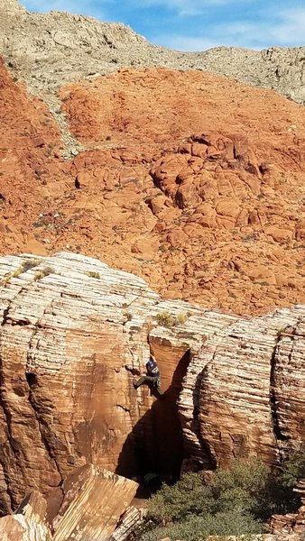 Didn't see any bighorn sheep but did see some folks rock climbing.