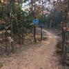 Entrance to the Blue Trail. This is approximately 0.4 miles from the start of the trail. You'll exit from the singletrack on Green to an open area. Turn right, go up the road until you see the Blue Trailhead on your left.