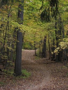 Stoney Creek Metro Park.