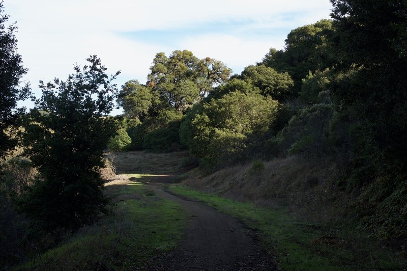 After passing through the gate, the trail hugs the ridge line and changes into a dirt track.