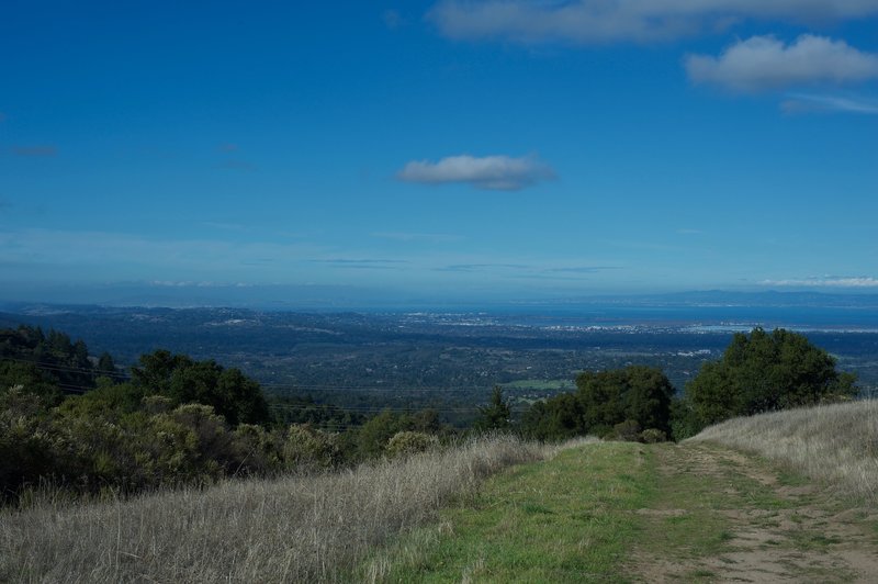 The trail descends into the preserve, but there are a couple of great views before it re-enters the woods.