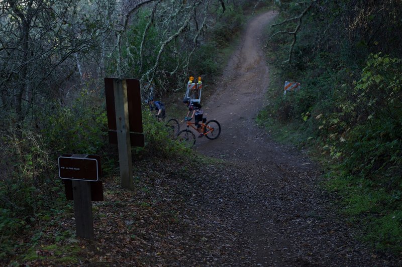 The trail comes to a junction with the Alpine Road Trail, where mountain bikers enjoy the descent from Page Mill Road to Portola Valley.