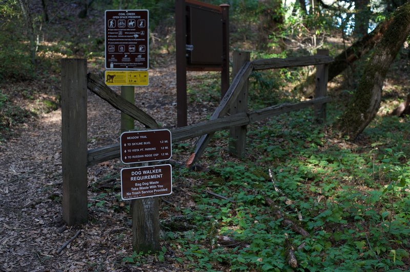 The Meadow Trail departs the Alpine Road Trail and begins to climb back toward the fields.