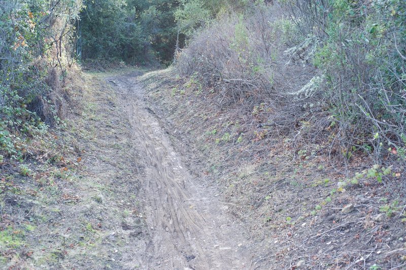 Mountain bikers like this trail, and there are portions where their tracks have made it muddy.