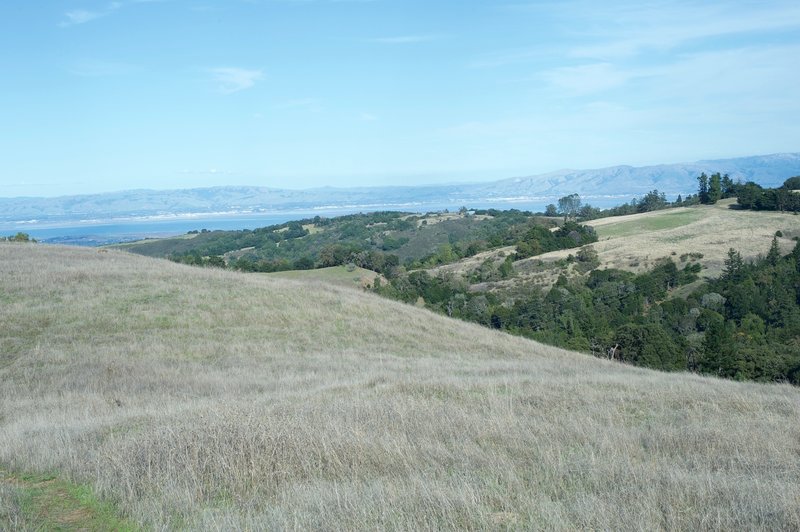 Views of the Bay Area stretch out before you. If you look closely in the field, you can see two coyotes before they get scared off.