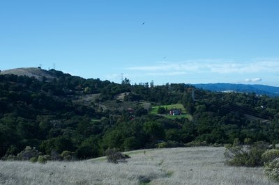 On the left side, private homes are visible from the preserve as turkey vultures soar overhead.