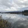 A view out over Silver Lake and the marshes created by the eruption.