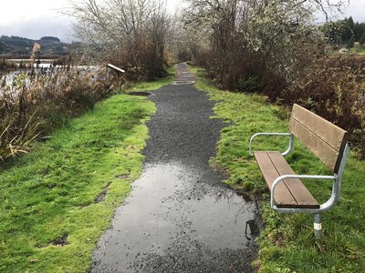 A bench overlooking the lake sits off to the side of the gravel trail.