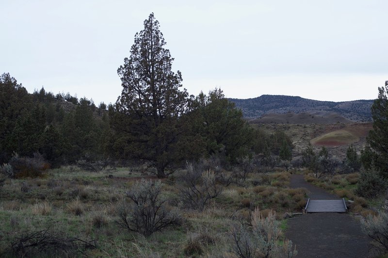 The trail as it makes its way through the barren landscape.  You can see a clay hill off in the distance.