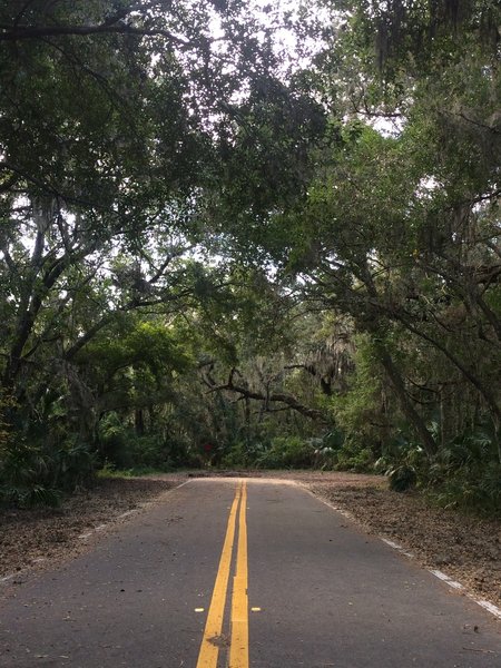 Second entrance to the trail at the end of the road.