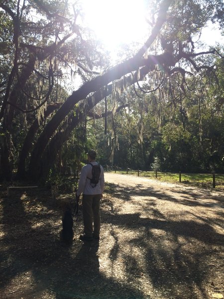 Trail entrance near the boat ramp.