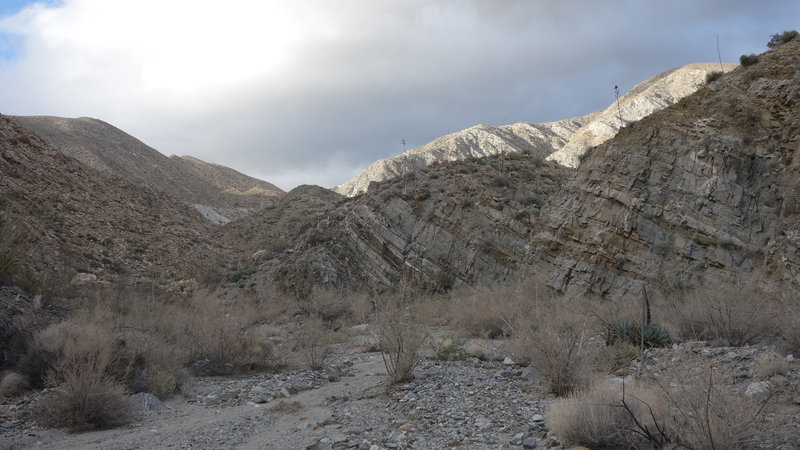 Rattlesnake Canyon in late afternoon light.