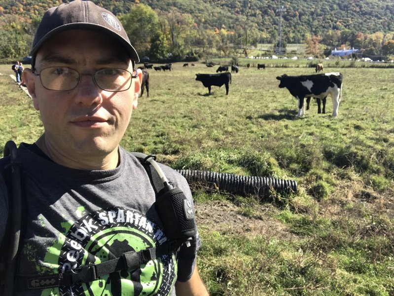 Crossing the cow pasture section of the hike.