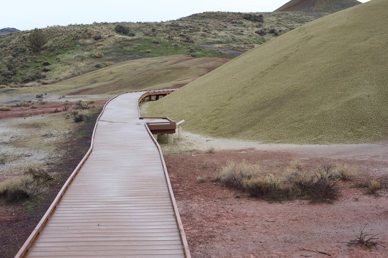 The boardwalk that brings you up close to the hills.