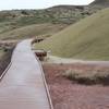 The boardwalk that brings you up close to the hills.