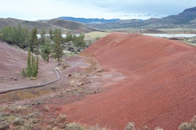 A view of the backside of the hills comes into view. The trail follows the logs as the trail makes its way back to the parking lot.