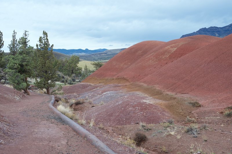 Phyolite Lava flows can be seen directly off to the left of the trail. They are the the small, purple hills to the left.