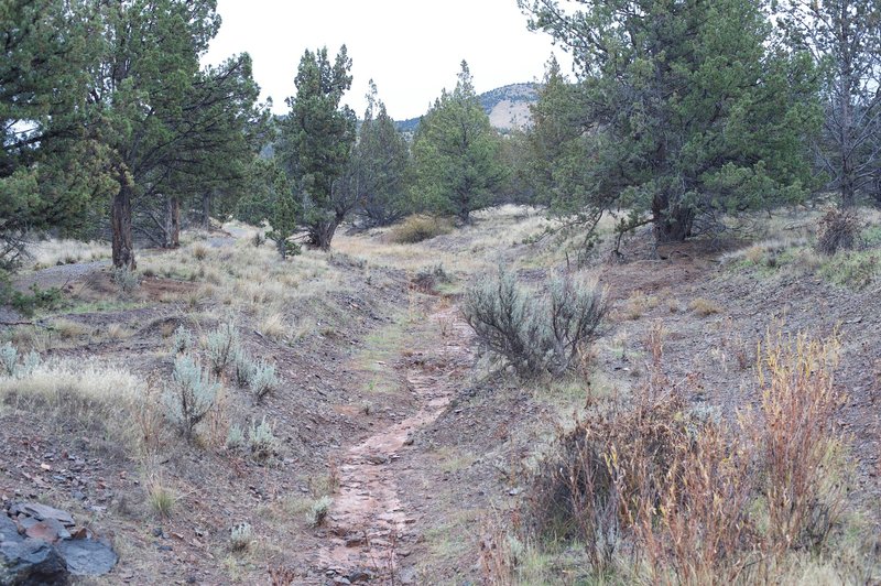 This small wash that you cross before going to the right and following the gravel trail.