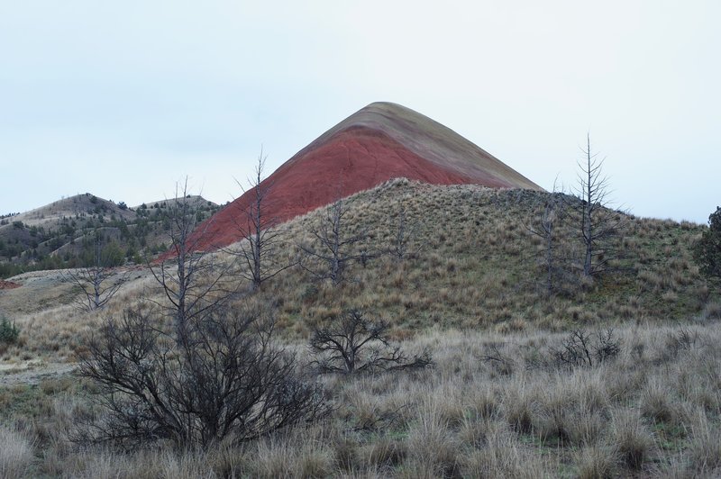 Bright and Yellow clay compose the hill that this trial is named for.