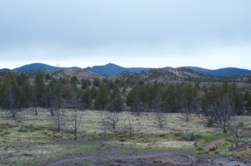 A view of the the surrounding hillsides from the end of the trail.