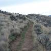 On the backside of the hill, there is more vegetation. The grass is longer and there are more shrubs.