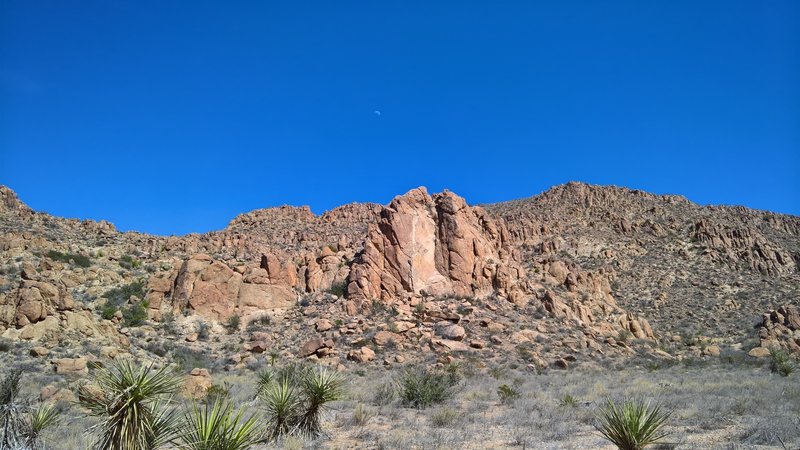 Midway along the trail.  View to the north.