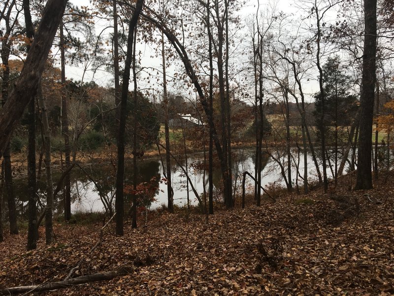 A slight ridge above the pond.