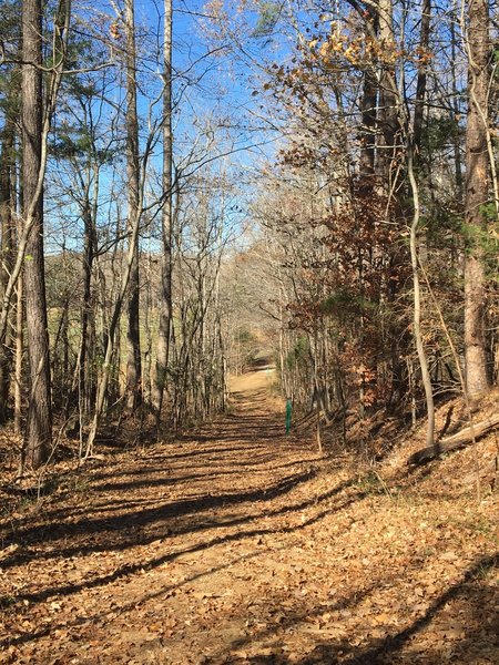 A portion of the trail follows the historic road that used to connect Chapel Hill to Hillsborough, prior to the construction of Hwy 86.