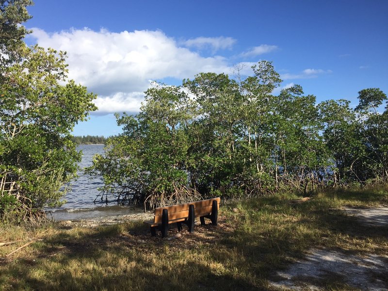 Park bench facing east to the Indian River.