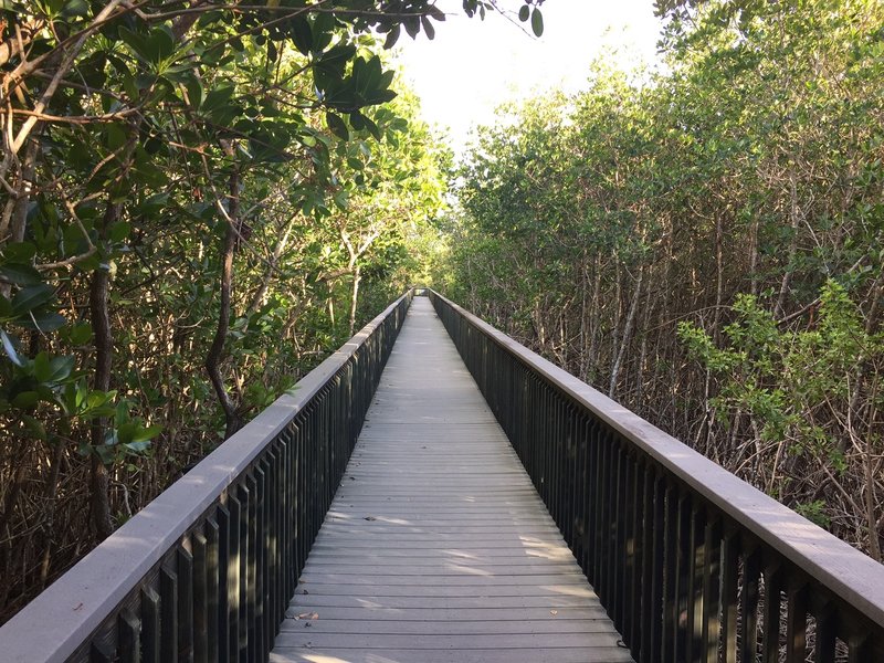 Boardwalk looking east