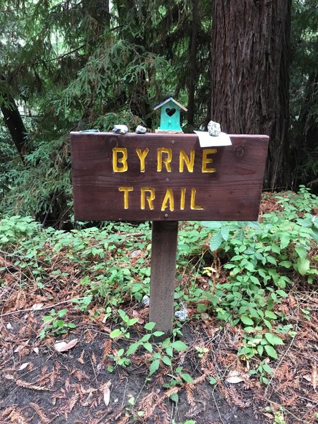 Little trinkets on top of the trail signs!