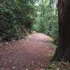 Beautiful trees and wide trails!