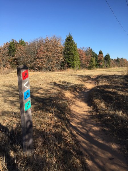 The singletrack green trail opens to the north power line road. Take this a short distance until you turn left onto the blue trail.