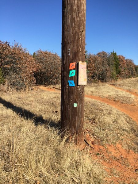 The left hand turn onto the blue trail from the north power line road. You'll rejoin the green trail at the end of the blue trail.