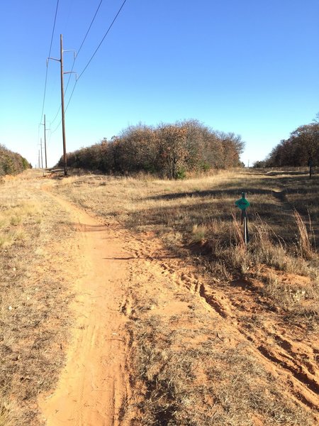 Follow the power line road trail to your left to the end, to rejoin the green singletrack.