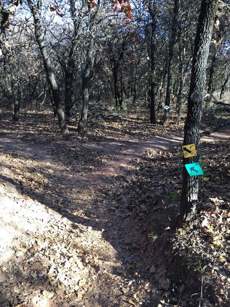 Just prior to the end of the green trail, you'll see signs for the start of the yellow trail.