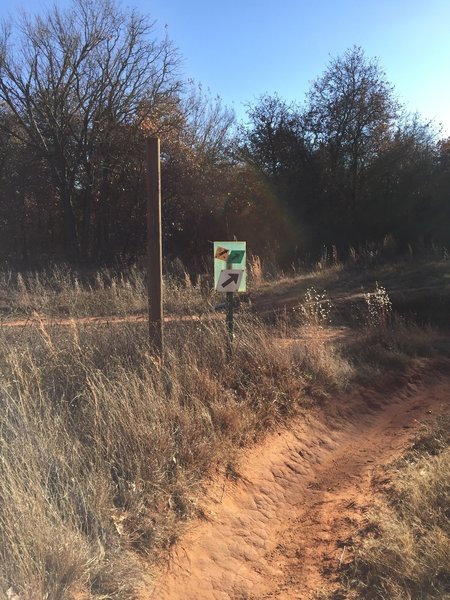 The green trail ends on the south power line road. Turn right and then you'll turn left onto the yellow trail in about 0.2 mile.