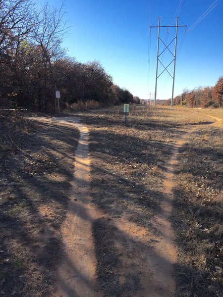 The south power line road goes all the way back to the trailhead parking lot. Turn left onto the yellow trail. After 3 miles you'll be back on this south power line road.