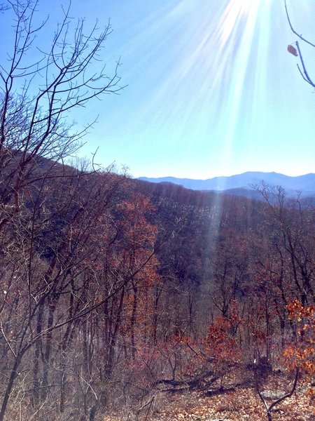 Southward mountain view through the bare trees