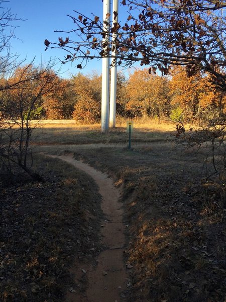 The yellow trail ends back on the south power line road. Turn left onto this road and follow it to the trailhead parking lot.