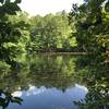 Sibley Pond in the Sope Creek loop quietly reflects the surrounding woods.