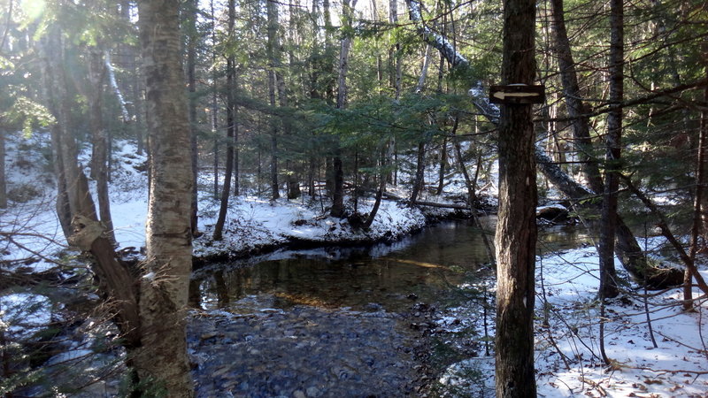 Crossing the West Branch of the Olivarian Brook