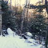 End of the trail at the Junction with the Square Ledge Trail