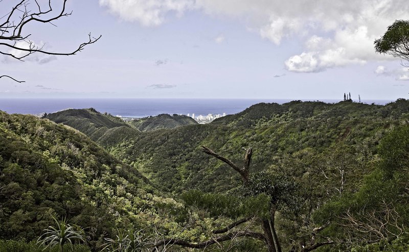 Looking out from the ridge.