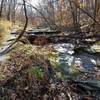 Backside of Spring Brook Trail just South of the Little Bonne Femme creek crossing