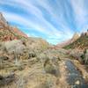 The view is spectacular when looking up the Virgin River.