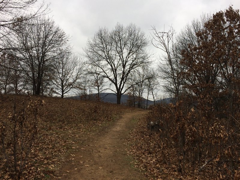 A brown landscape greets visitors to the Ice Age Trail: Merrimac Segment in early December.