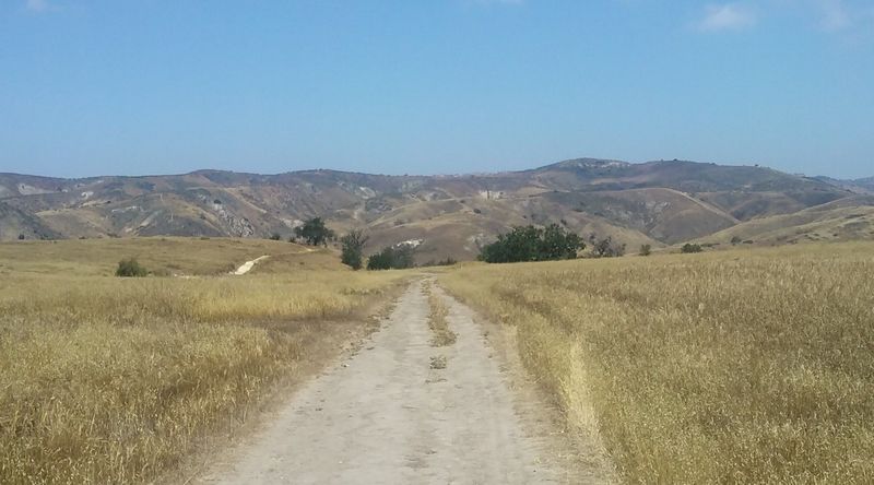 Looking across Lasky Mesa on the Mary Weisbrock Trail, Upper Las Virgenes Canyon Open Space Preserve